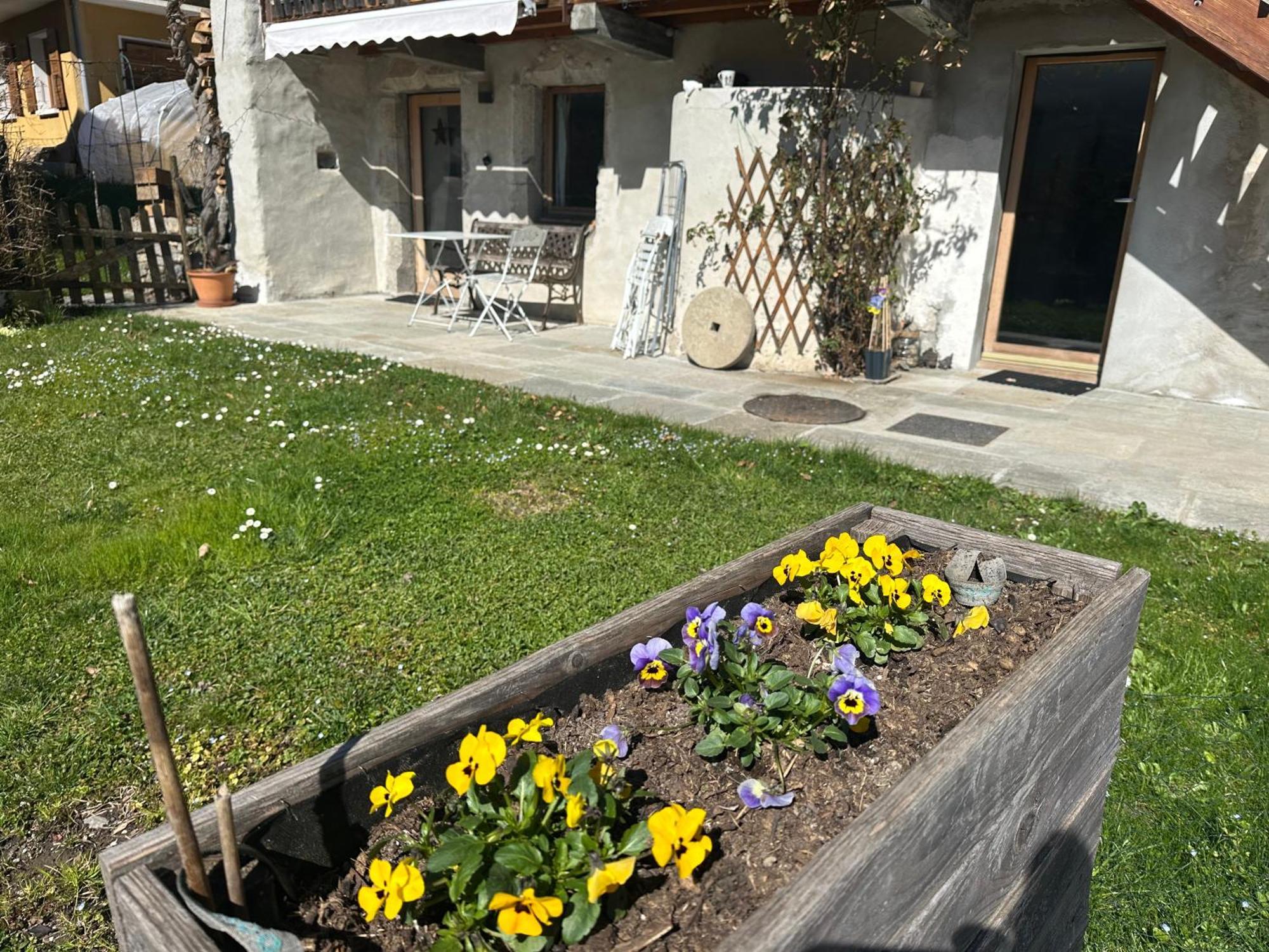 Dans Hameau, Pres Des Pistes Logement De Plein Pied Au Calme ตาแน็งจ์ ภายนอก รูปภาพ